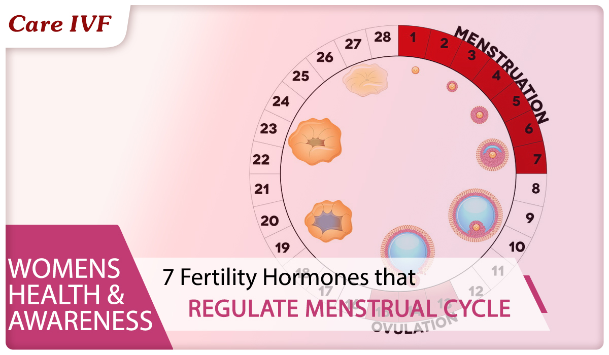 HORMONAL REGULATION OF MENSTRUAL CYCLE