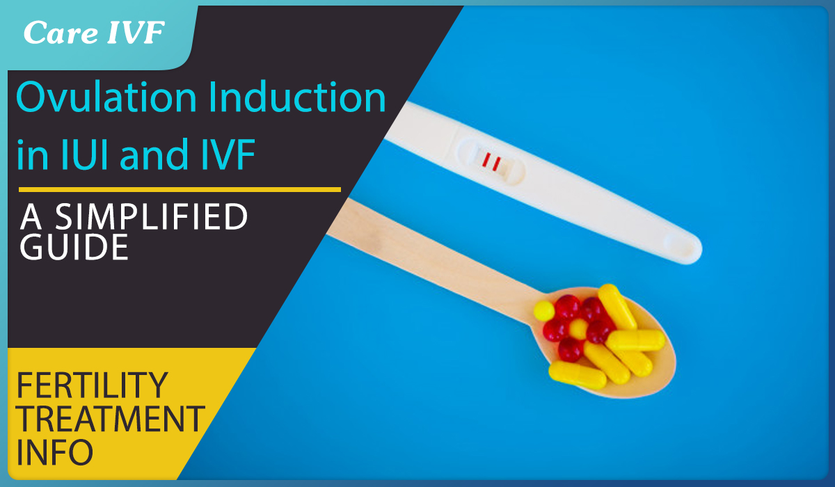 Lactation induction protocol and treatments.